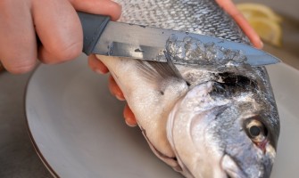 Поради щодо риби: як вибрати, почистити та зберегти ідеальний смак