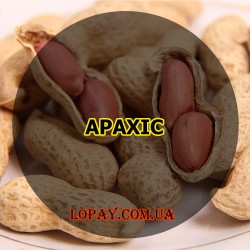 Арахіс солоний