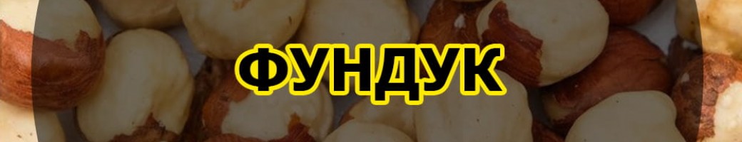 Фундук