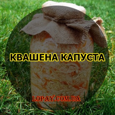 Квашена капуста