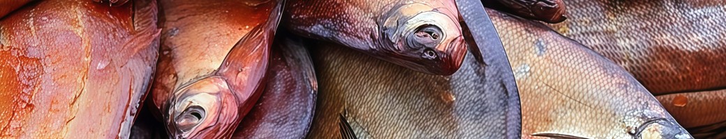 Морська риба