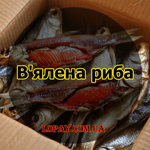 В'ялена риба